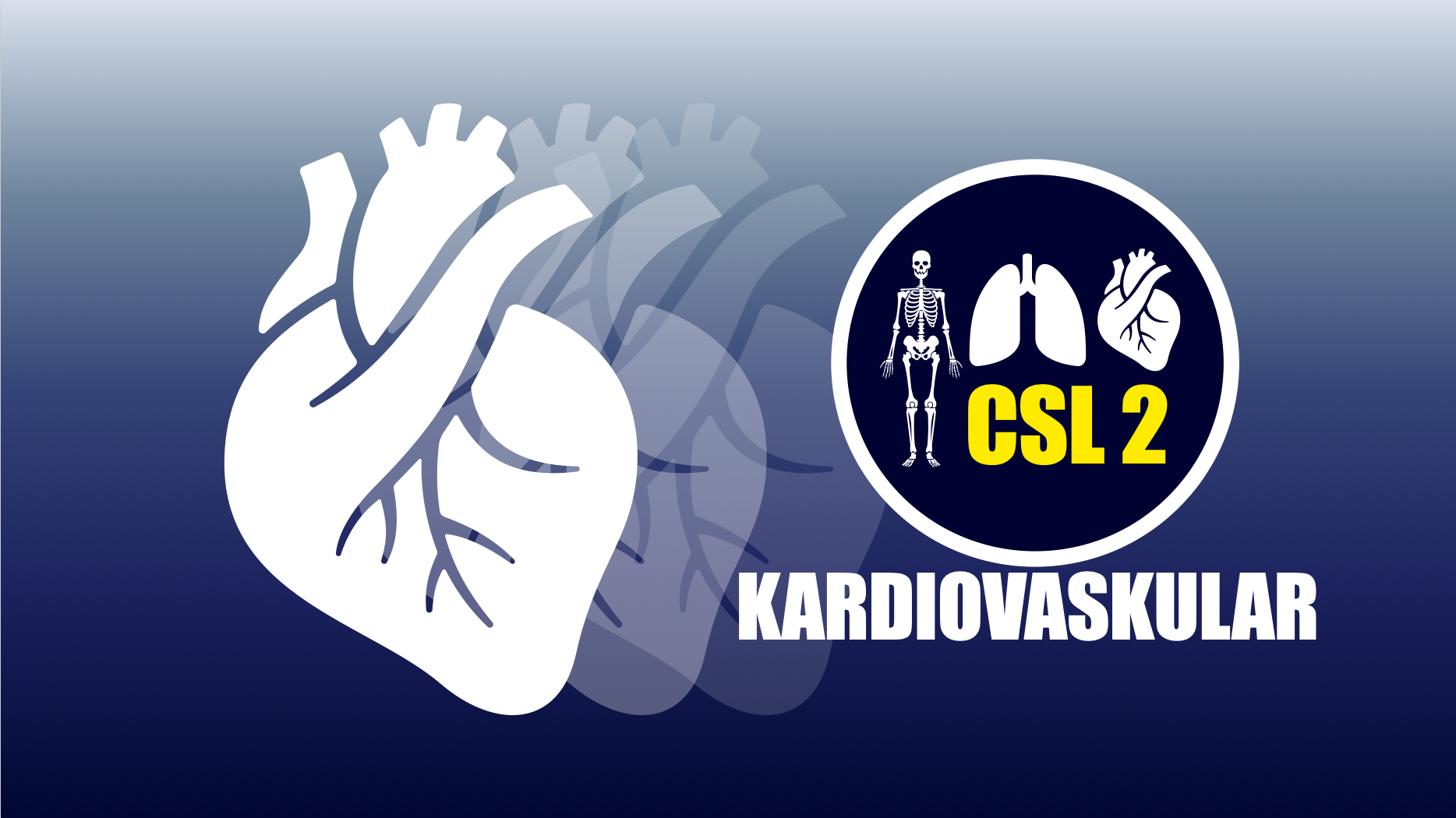 CSL 2 Kardiovaskular