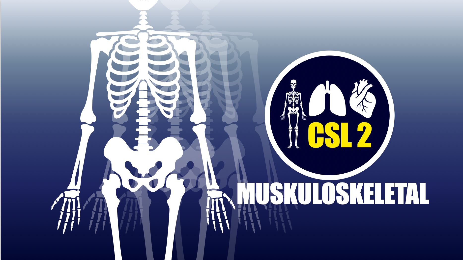 CSL 2 Musculoskeletal