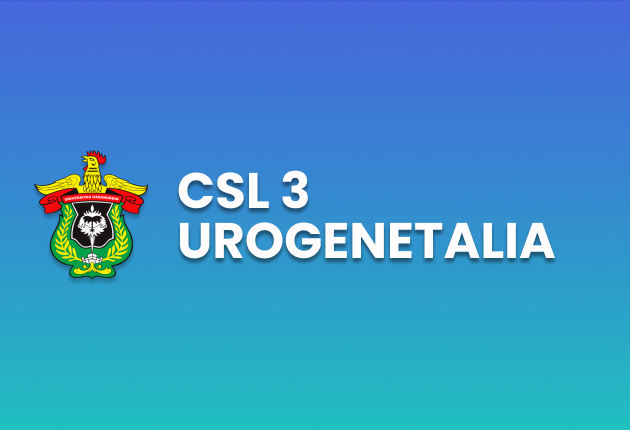 CSL 3 Urogenitalia