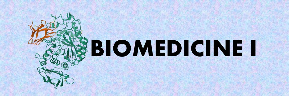 Biomedicine 1 2024 (International Class)