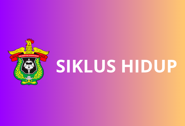 Blok Siklus Hidup